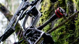 2019 Stabilizers beauty