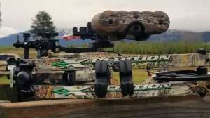 30443494 1478858152242996 3420425316454105088 o 190104 121835