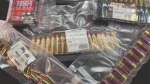 Gun care 1
