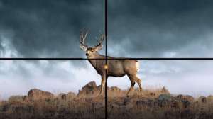 Sig Sauer BDX reticle 190104 111449
