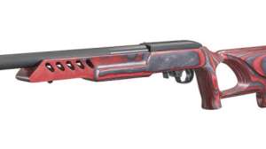 Ruger 7717 in 17 WSM 190104 132835