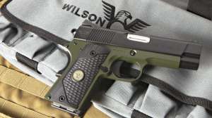 Wilson Combat horiz 190104 125548