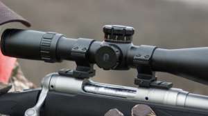 Bushnell riflescope 190104 125325