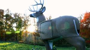8 Great 3 D Targets beauty 190104 121851