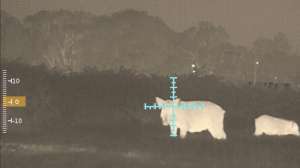 Armasight Contractor 640 A 240725 122055