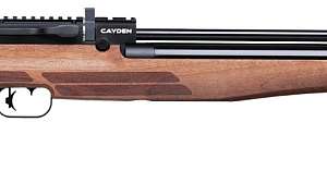 Benjamin Cayden Air Rifle wooden stock
