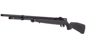 Benjamin Fortitude PCP Air