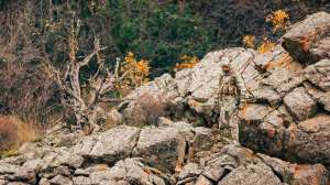 Browning Hells Canyon beauty