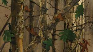 Brushy Bottom Trinity 3 D patttern example