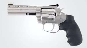 Colt Baby Snake