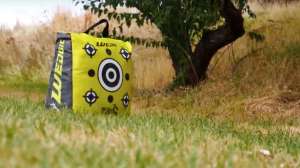 Delta Wedgie target beauty 190104 122148