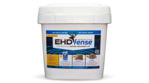 EHD fense