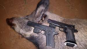 FC Handgun Hogs 1
