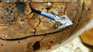 G5 broadhead in deer target