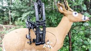 Hoyt 2 cropped