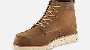 Irish Setterboot0229