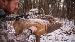 Mathews 3 resize