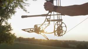 Mathews Engage Limb Legs beauty