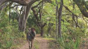 OR Sitka FOE23 119