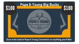 P and Y bucks
