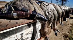 Reese Waterfowl Calls 4 copy