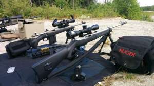 Ruger Sales