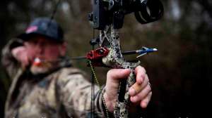 VIP Archery lead