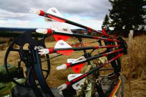 1262510 10151815019985862 277527771 o 190104 121056