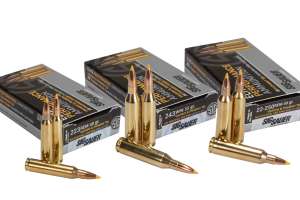 SIG SAUER Varmint Predator Ammunition group shot 190104 125418