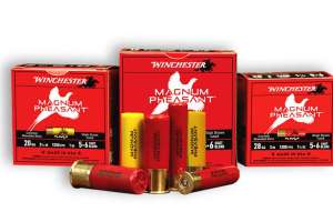 Winchester Pheasant Magnum copy